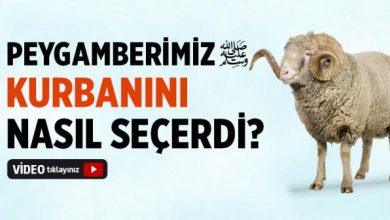 Peygamber Efendimiz Kurbanını Nasıl Seçerdi